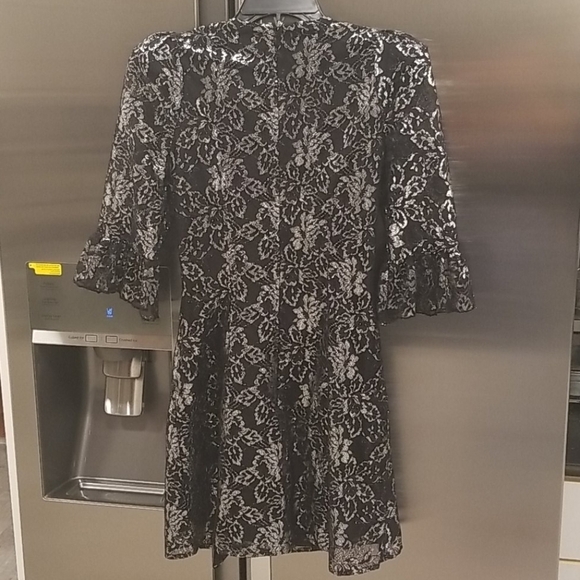 💕VAMPIRE'S WIFE x H&M💕 Silver Lace Mini Dress - Picture 15 of 17